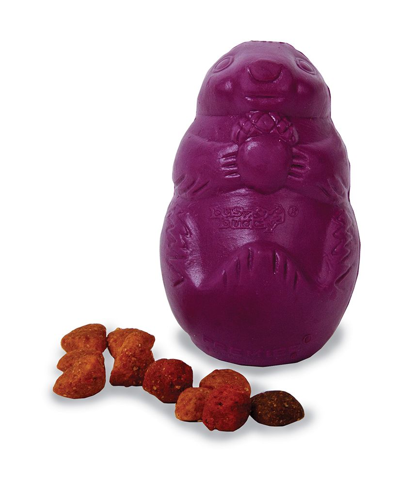 Busy Buddy®, Squirrel Dude™ - Image 3
